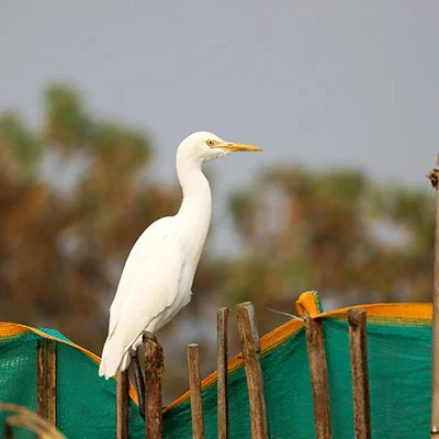 9月22日|21.2M/S，最新高速免费节点，SSR/Clash节点/V2ray节点/Shadowrocket订阅链接地址，科学上网