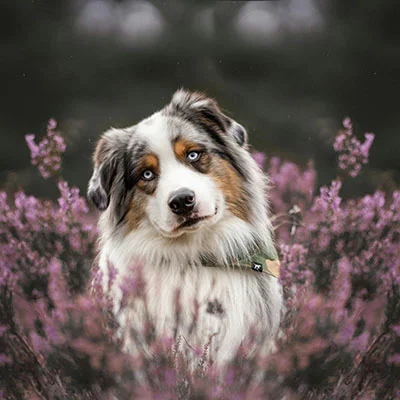 9月30日|22.3M/S，最新高速免费节点，Shadowrocket节点/Singbox节点/SSR节点/V2ray节点/Clash节点订阅链接地址，科学上网